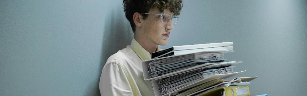 Eine Katze schlüpft in die Decke von mbs Maklerbüro Steinbach