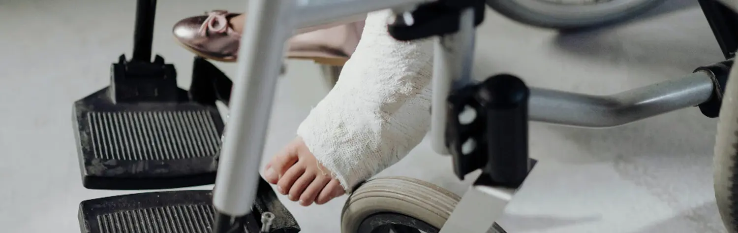 Eine Katze schlüpft in die Decke von mbs Maklerbüro Steinbach